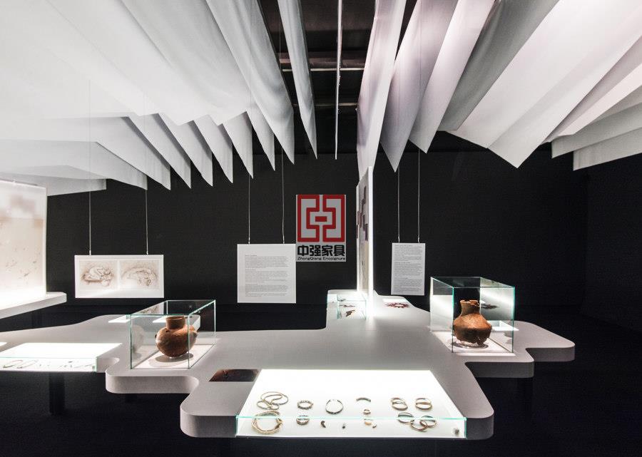 優(yōu)質(zhì)博物館展柜定制服務(wù),滿足多樣化需求-中強(qiáng)展柜